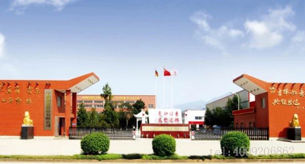 寧波品牌百優案例 ‖ 寧波如意：實施科學創新戰略，建樹百年西林品牌(圖1)